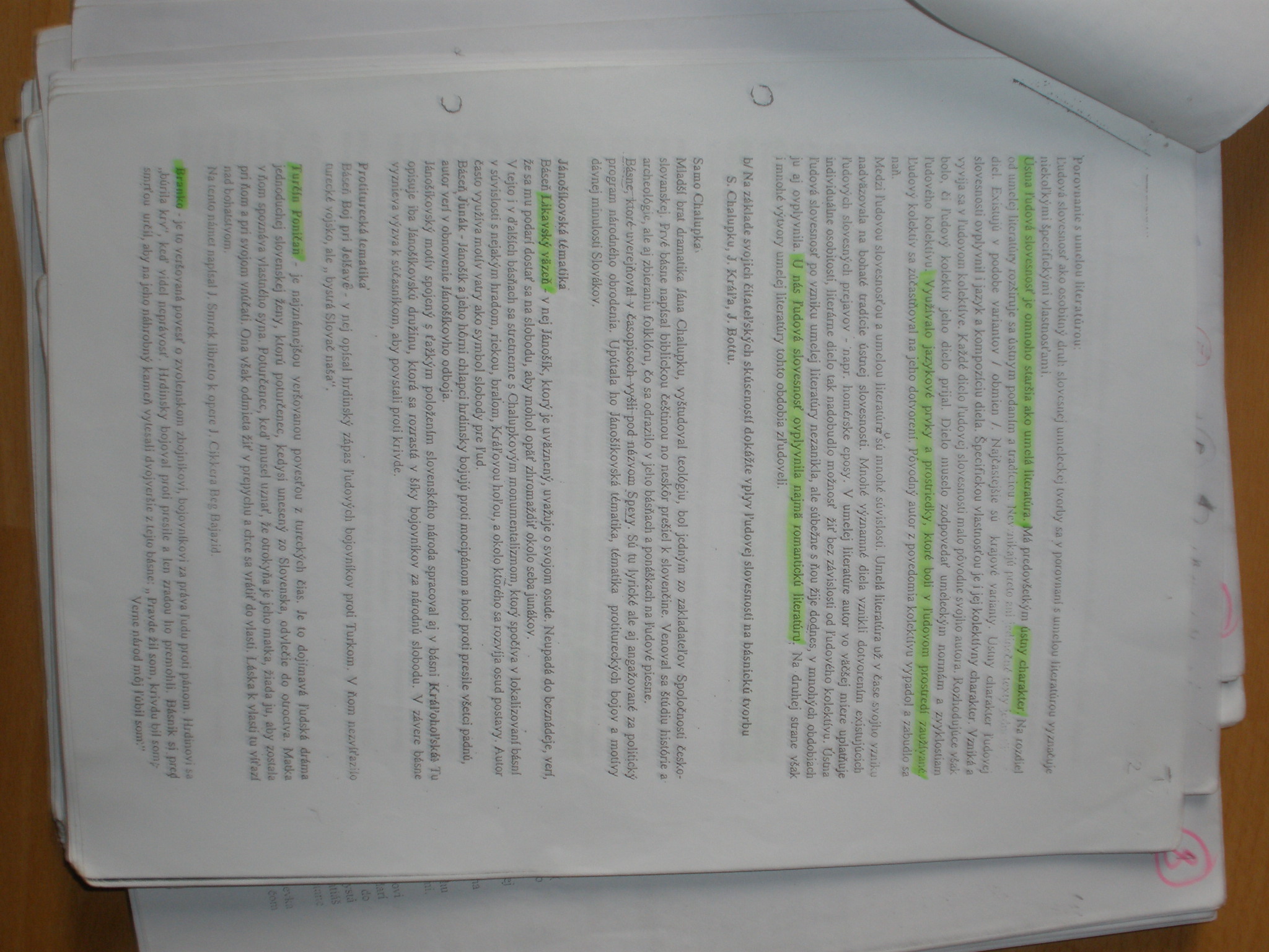 P9070243.JPG